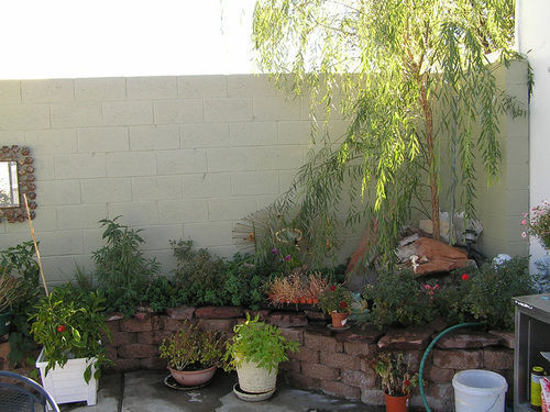 Hiway House Motel Albuquerque Exterior photo